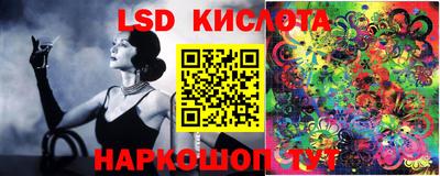 дмт Будённовск