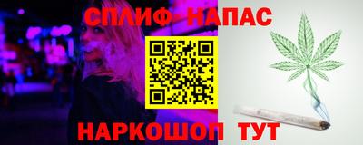 дмт Будённовск