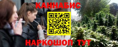 дмт Будённовск